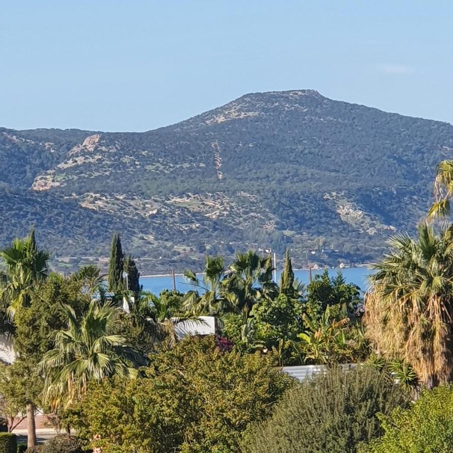 Latchi Ithaki, 2 Bedroom Penthouse Eksteriør bilde