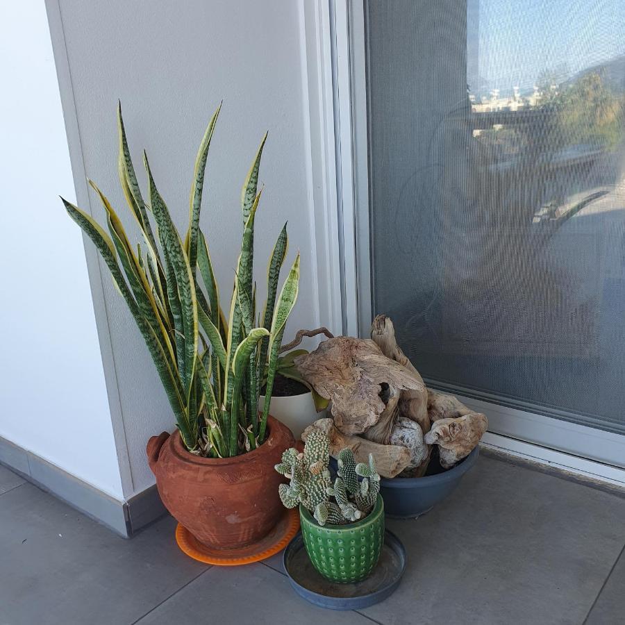 Latchi Ithaki, 2 Bedroom Penthouse Eksteriør bilde